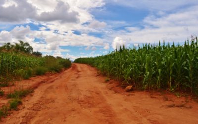 Confusione africana: le prime settimane in Tanzania