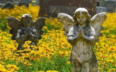 Si rinasce anche cambiando l’acqua ai fiori